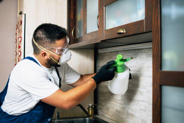 Best Cockroach Control Services  in Nappanee, IN