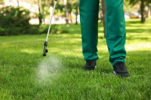 Best Ant Control Services  in Nappanee, IN