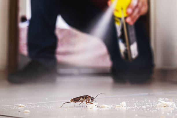 Best Emergency Pest Control  in Nappanee, IN