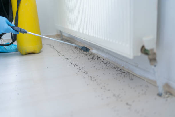 Best Pest Control Near Me in Nappanee, IN